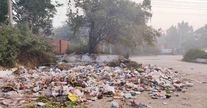 Haryana : पार्कों के खराब रखरखाव से फरीदाबाद के स्थानीय लोग नाराज