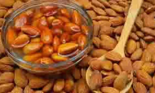 Health: सर्दियों में बादाम के फायदे और पोषण मूल्य जानकर रह जाएंगे  हैरान