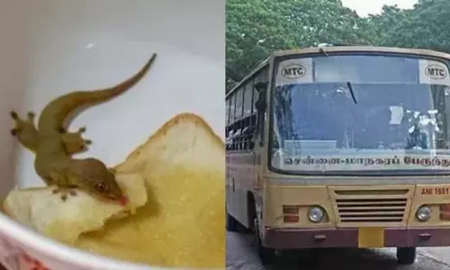 Chengalpattu: छिपकली क्या खाती है? चेंगलपट्टू में बस कंडक्टर बेहोश