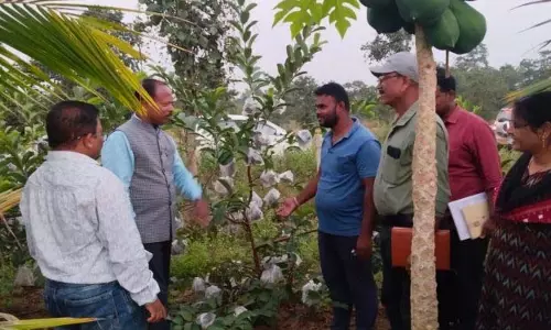 नुआपाड़ा में प्रवासी मजदूर बने प्रेरक किसान नुआपाड़ा में प्रवासी मजदूर बने प्रेरक किसान
