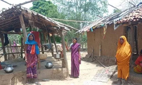 पहाड़िया समुदाय को जनजातीय दर्जा नहीं