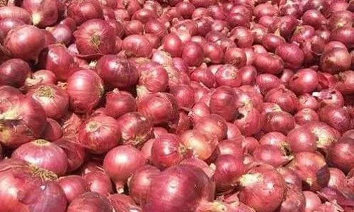 Tamil Nadu: क्या इसका कोई अंत नहीं है सर? बिना छिले ही आ जाते हैं आंसू