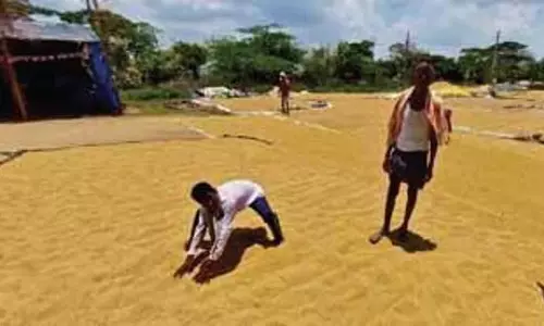 CM Revanth: तेलंगाना ने केएलआईपी के बिना रिकॉर्ड धान उपज हासिल की
