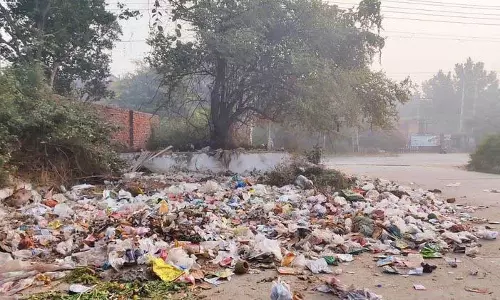 Haryana : पार्कों के खराब रखरखाव से फरीदाबाद के स्थानीय लोग नाराज