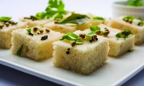 ओट्स ढोकला रेसिपी