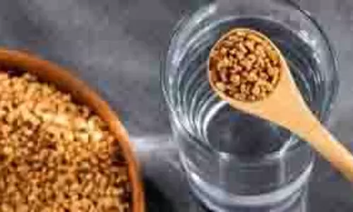 Health: खाली पेट पिएं मेथी का पानी, ये हैं फायदे