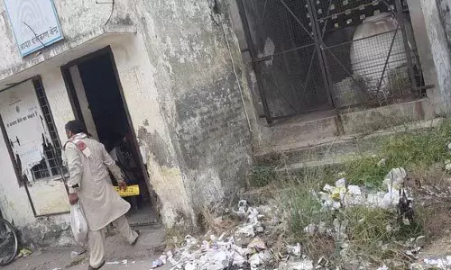 Haryana : यमुनानगर और जगाधरी में आवारा कुत्तों का आतंक बढ़ता जा रहा Haryana : यमुनानगर और जगाधरी में आवारा कुत्तों का आतंक बढ़ता जा रहा