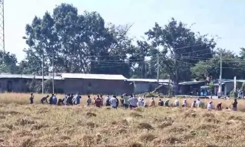 Assam : जमुगुरीहाट में सामुदायिक कटाई ने ध्यान खींचा