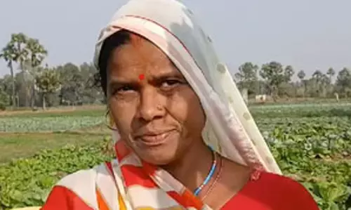 बोधगया : मुनाफे का सौदा साबित हो रही है थाई बेसिल की खेती बोधगया : मुनाफे का सौदा साबित हो रही है थाई बेसिल की खेती