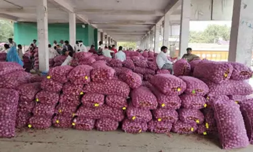 Alwar: मंडी में प्याज की आवक बढ़ी, किसानों को मिल रहे अच्छे दाम