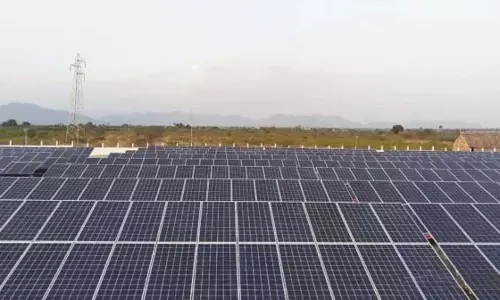 South में आ रहा बड़ा प्रोजेक्ट.. धान के खेतों के लिए वरदान..हरी सिग्नल South में आ रहा बड़ा प्रोजेक्ट.. धान के खेतों के लिए वरदान..हरी सिग्नल