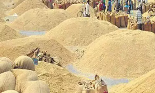 बिहार में धान खरीदी की रफ्तार सुस्त