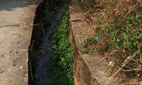 Kangra कुहलों में पानी का बहाव कम हुआ