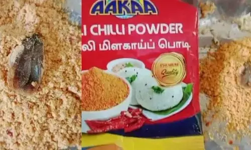 Carapain पाउडर क्या है? इडली खाने की चाहत रखने वालों के लिए झटका.. Carapain पाउडर क्या है? इडली खाने की चाहत रखने वालों के लिए झटका..
