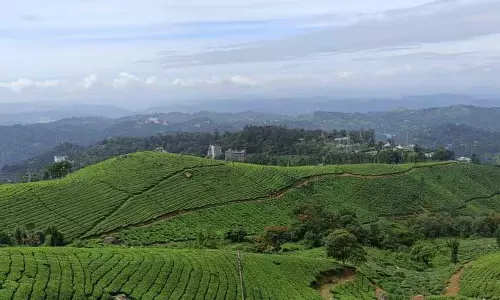 Kerala : इस वजह से फोडोर के 2025 ‘नो विजिट’ गंतव्यों में केरल भी शामिल