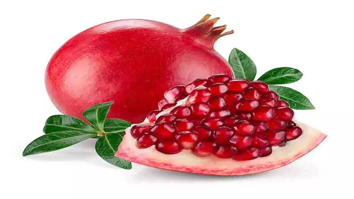 Pomegranate Benefits:  अनार खाने से मिलते हैं ये अद्भुत स्वास्थ्य लाभ, अपनी डाइट में करें शामिल