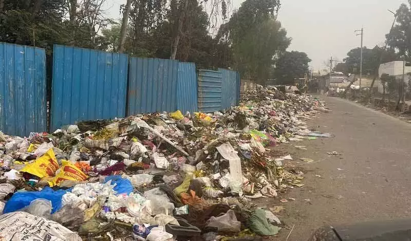 Jalandhar: मॉडल टाउन के निवासियों ने कूड़े के ढेर को लेकर प्रदर्शन की धमकी दी