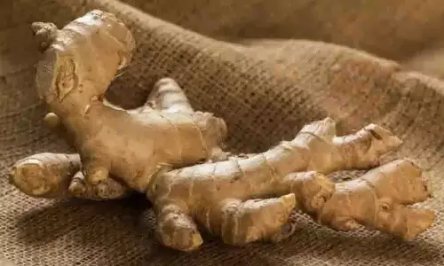 Benefits of Ginger: महंगी दवाओं को भूल जाएंगे आप जब पता चलेंगे अदरक के ये गुण