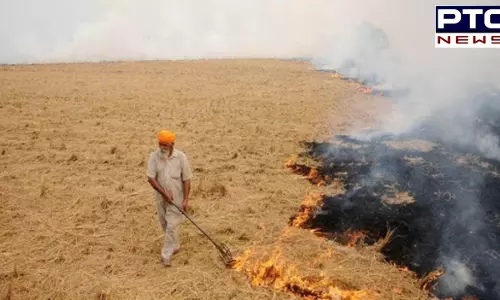 Haryana में पराली जलाने के 36 मामले सामने आए