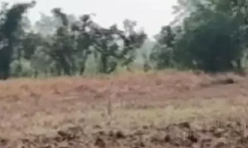 किसान की हत्या, पहुंचा था प्लॉट की रखवाली करने किसान की हत्या, पहुंचा था प्लॉट की रखवाली करने