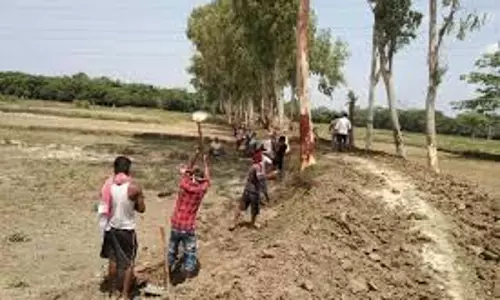Gopalganj: ढाई लाख मनरेगा मजदूरों का सत्यापन शुरू Gopalganj: ढाई लाख मनरेगा मजदूरों का सत्यापन शुरू
