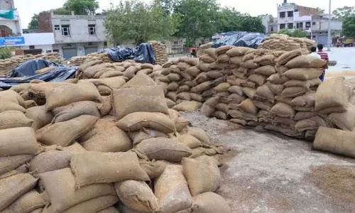 Punjab: खरीदे गए अनाज को सुरक्षित करने में विफल रहे