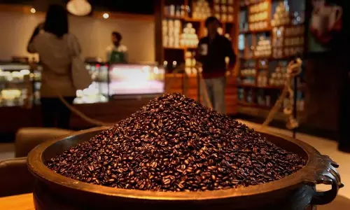 Kerala में कॉफी पाउडर की कीमत 700 रुपये तक पहुंची