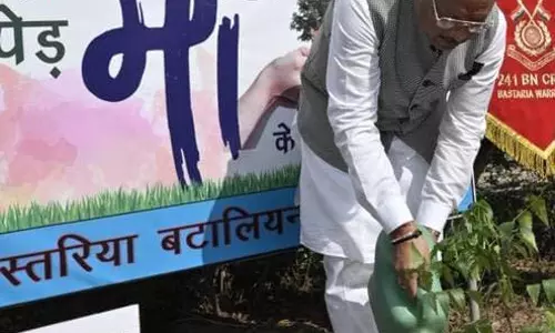 CM विष्णुदेव साय ने CRPF के बस्तरिया बटालियन परिसर में लगाया नीम का पौधा
