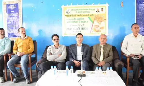 Chamba में प्राकृतिक खेती के तहत उगाए गए मक्के की खरीद शुरू