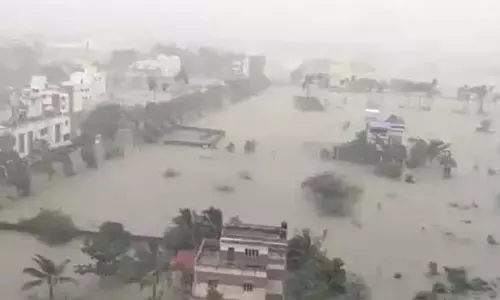Chennai पल्लीकरण दलदल भूमि अतिक्रमण.. वन विभाग ने बेदखल करने का निर्णय