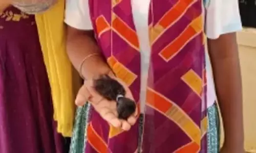 Andhra Pradesh: सरकारी स्कूल की प्रिंसिपल ने देर से आने पर छात्राओं के बाल काटे, निलंबित