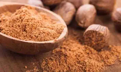 Skin Care: सर्दियों में एलोवेरा जेल में शहद और जायफल मिलाकर पाएं बेदाग और जवां त्वचा