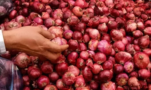 दिल्ली से 840 टन प्याज के लिए; 35 रुपए प्रति किराये की दर से किराया बढ़ाया दिल्ली से 840 टन प्याज के लिए; 35 रुपए प्रति किराये की दर से किराया बढ़ाया