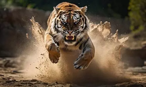 Assam : दलगांव में बाघ के हमले में एक व्यक्ति की मौत Assam : दलगांव में बाघ के हमले में एक व्यक्ति की मौत