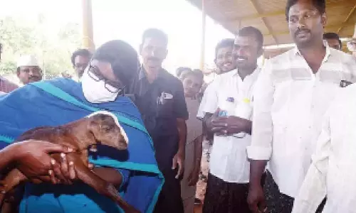 Andhra: खेती में नवाचार के लिए प्रोत्साहन का आश्वासन Andhra: खेती में नवाचार के लिए प्रोत्साहन का आश्वासन