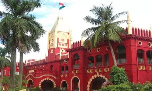 उड़ीसा हाईकोर्ट ने हाथियों की मौत पर राज्य सरकार को नोटिस जारी किया