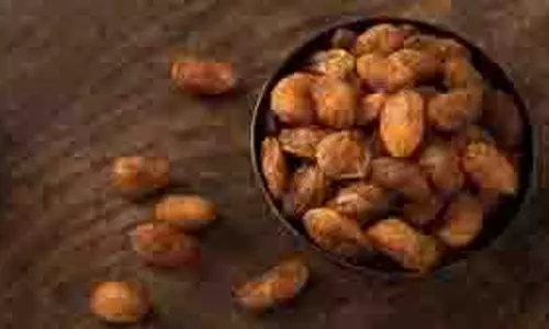 Health: इस ड्राई फ्रूट को भूनकर खाने से मिलते हैं फायदे Health: इस ड्राई फ्रूट को भूनकर खाने से मिलते हैं फायदे