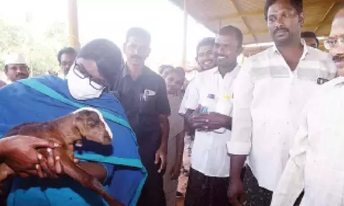 AP: खेती में नवाचार के लिए प्रोत्साहन का आश्वासन AP: खेती में नवाचार के लिए प्रोत्साहन का आश्वासन