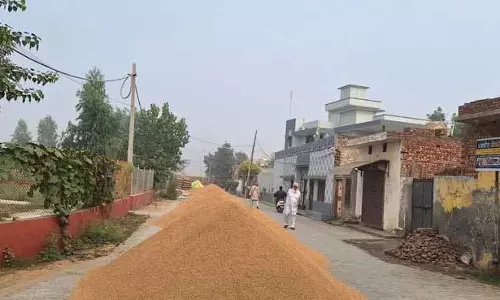 दिशा-निर्देशों का उल्लंघन, Malerkotla गांव बना खरीद केंद्र