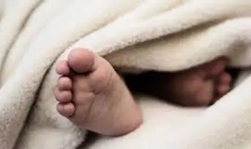 Balrampur: नवजात  को उठा ले गया जंगली जानवर, वन विभाग ढूंढने में लगा