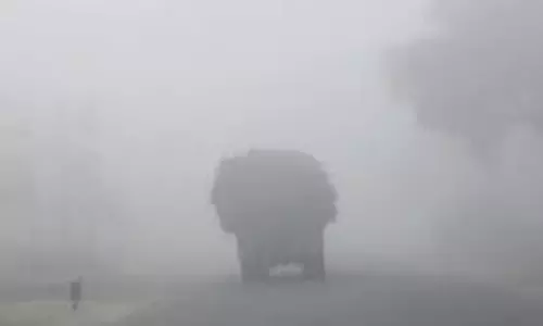 Weather: उत्तराखंड के इन दो जिलों में कोहरे का अलर्ट