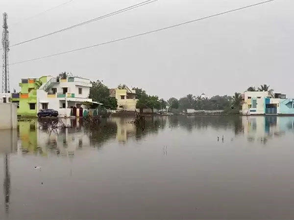 Tamil: लगातार बारिश के कारण थूथुकुडी में बाढ़ और जलभराव की स्थिति बनी