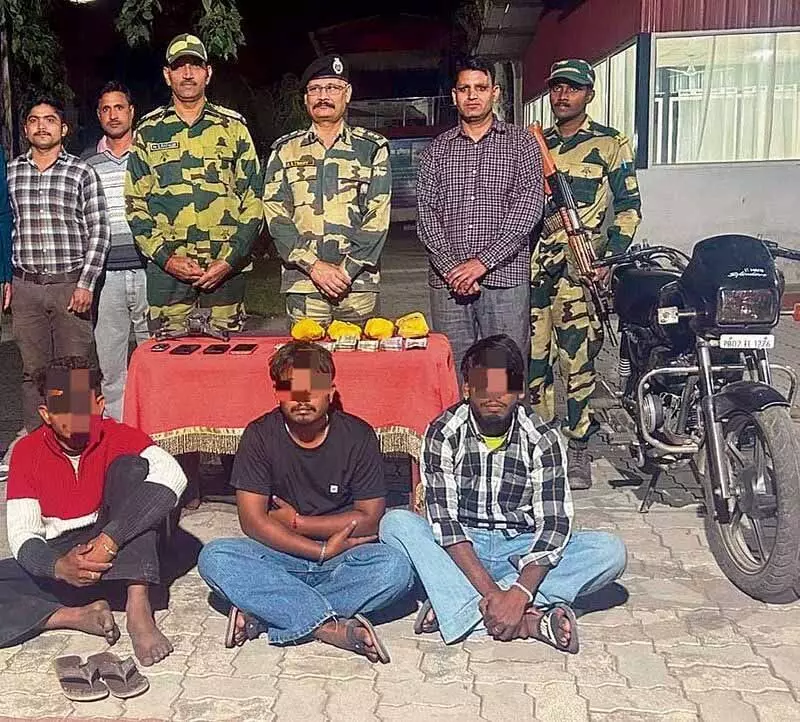 BSF ने 6 ड्रोन, 2 किलो हेरोइन जब्त की, 3 गिरफ्तार