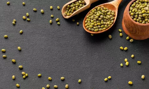 Health: वजन कम करने के लिए पिएं ये दाल का पानी Health: वजन कम करने के लिए पिएं ये दाल का पानी