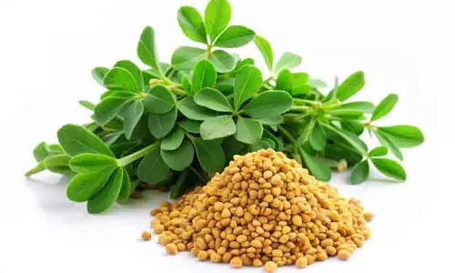 Recipe: डिनर में बनाएं मेथी कढ़ी