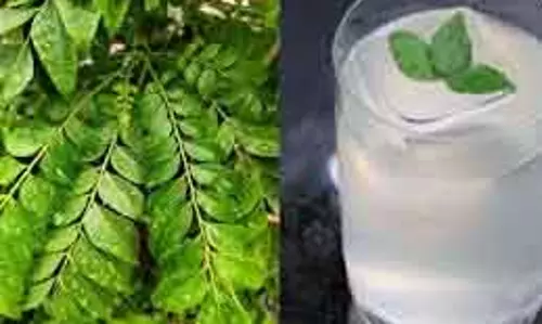 Health: सुबह खाली पेट पिएं करी पत्ते का पानी, मिलेंगे गजब के फायदे