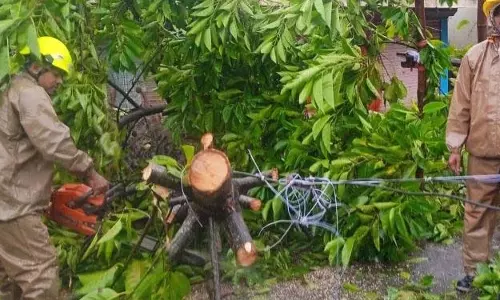 केंद्रीय टीम के ओडिशा दौरे के लिए समुद्री डाकू दाना से हुए नुकसान का आकलन किया गया