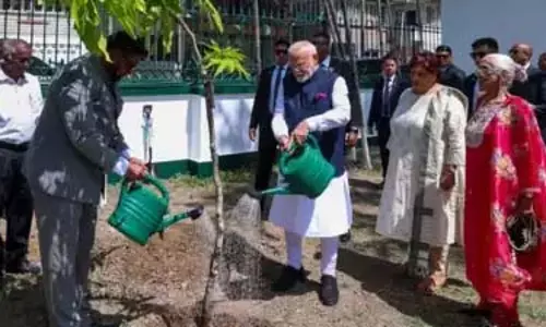 PM Modi की एक पेड़ मां के नाम