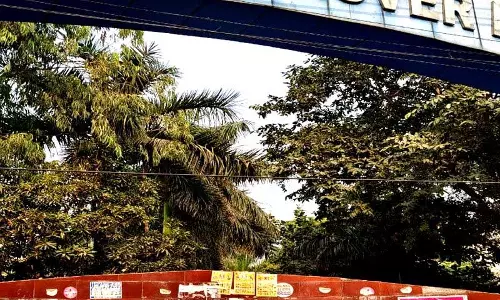 Haryana : पोस्टर, स्टिकर ने रोहतक के आकर्षण को बिगाड़ा