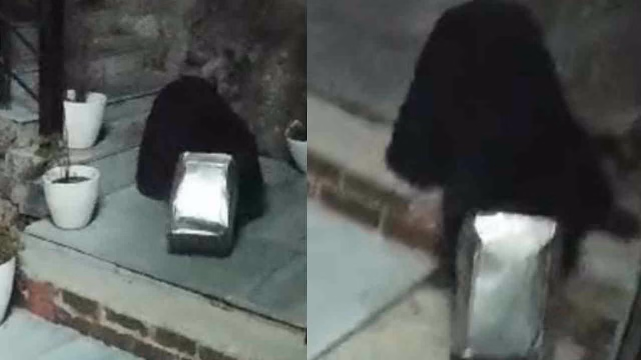 Chamoli: खाने की तलाश में आबादी क्षेत्र में पहुंचा भालू का बच्चा, कनस्तर में फंसा सिर Chamoli: खाने की तलाश में आबादी क्षेत्र में पहुंचा भालू का बच्चा, कनस्तर में फंसा सिर